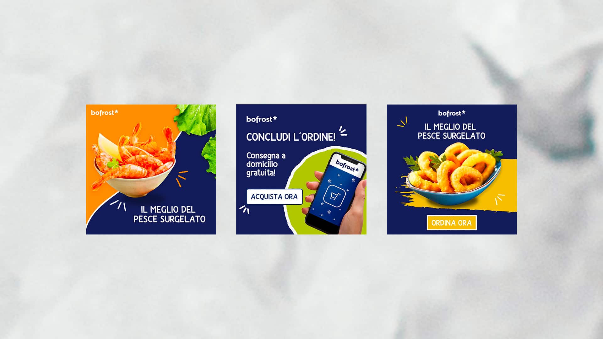 esempi di grafiche google advertising per bofrost